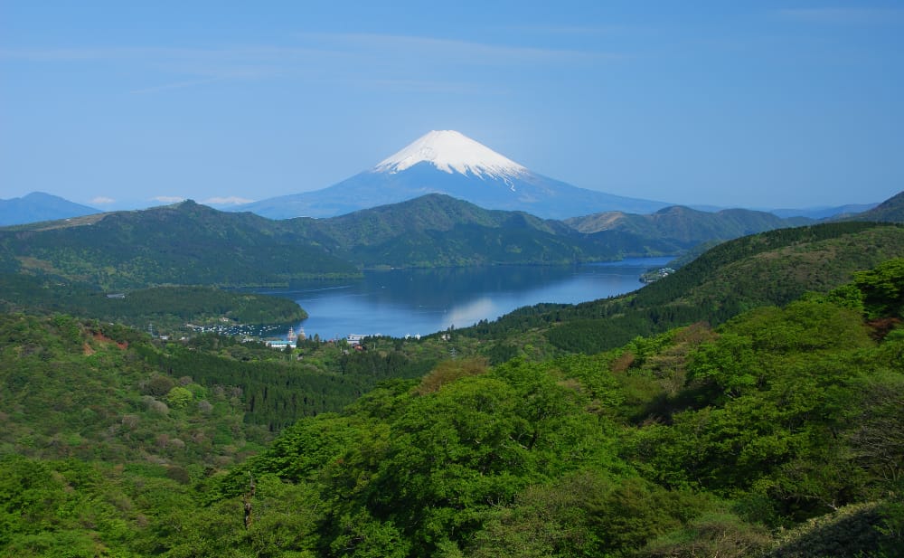 Mt. Fuji Views