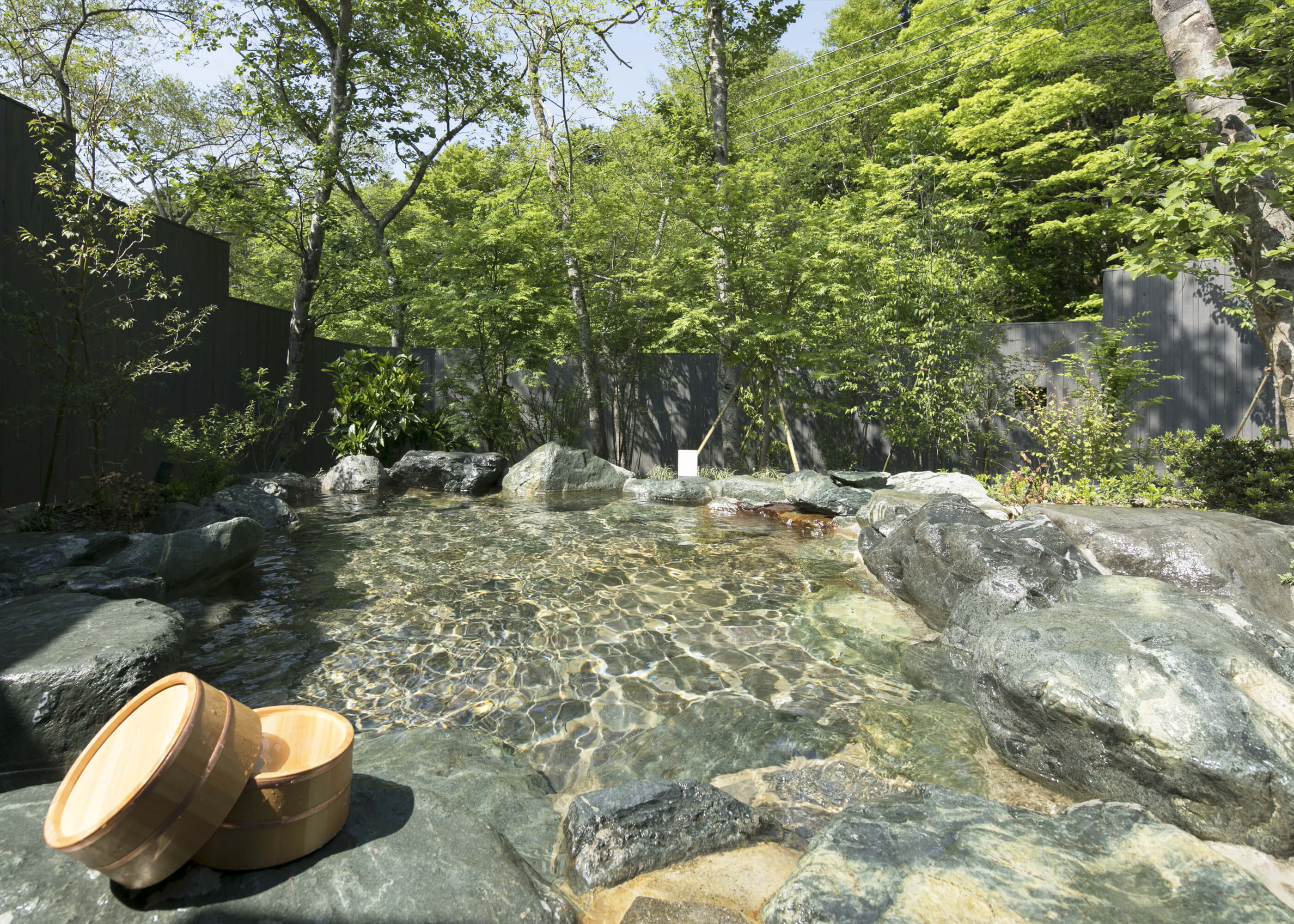 天然温泉 ライムリゾート箱根