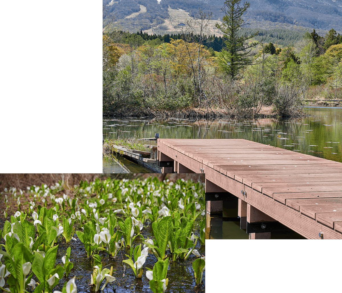 Imori Pond