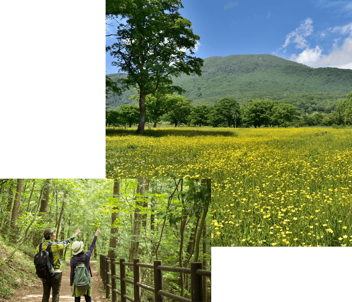 Sasagamine Highlands