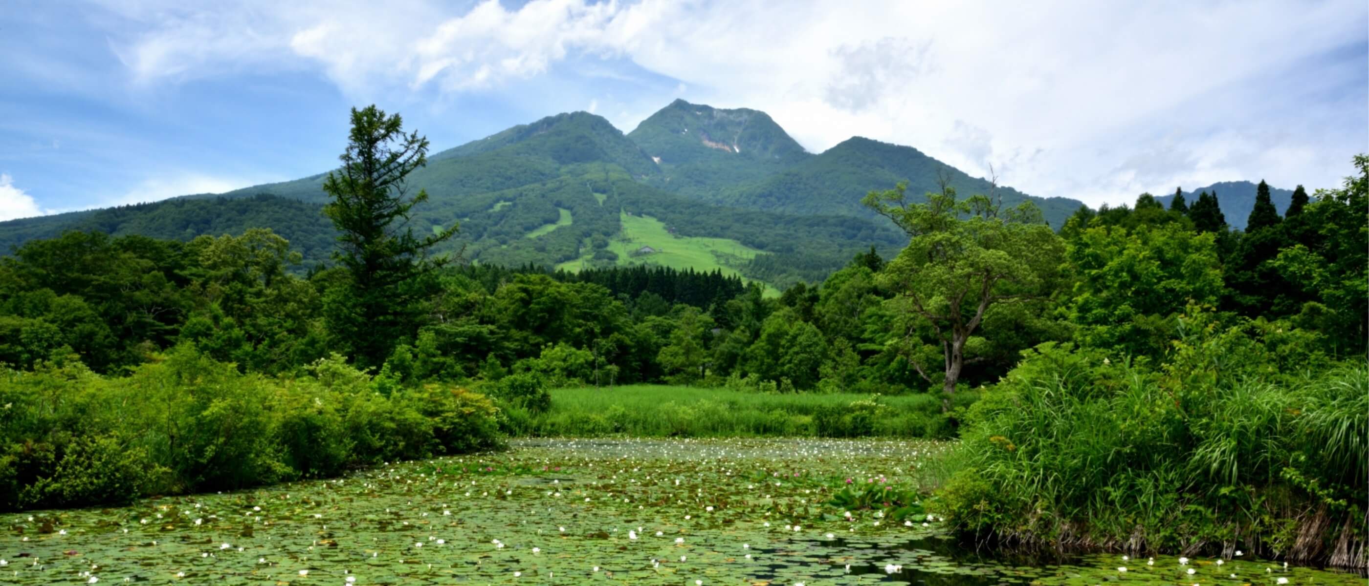 Heal your mind and body on the Myoko Plateau